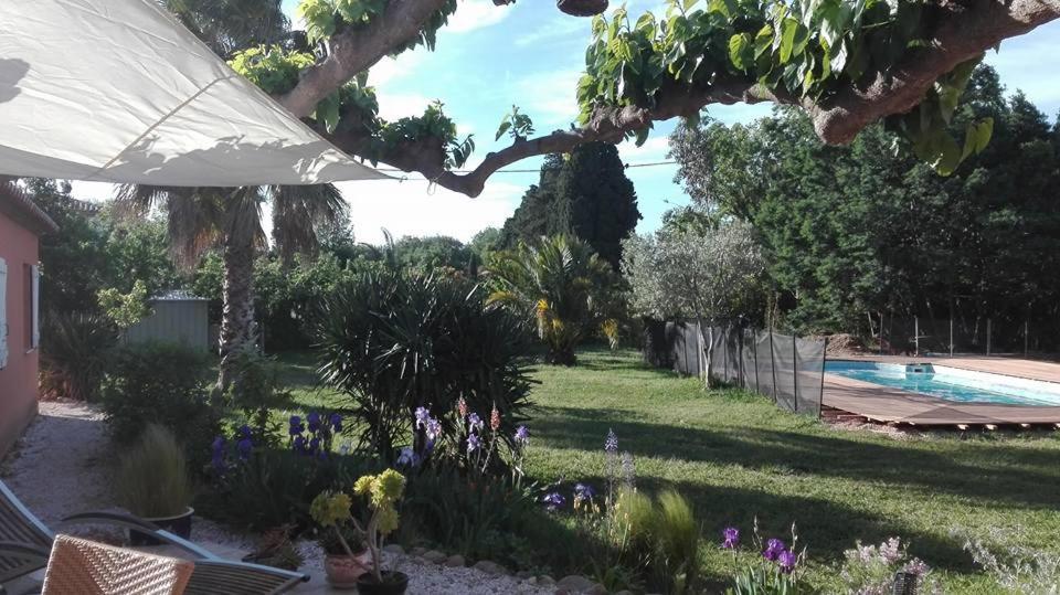 Bed and Breakfast Mas Uranie Le Soler Zewnętrze zdjęcie